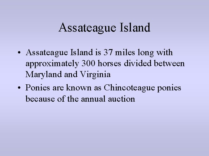 Assateague Island • Assateague Island is 37 miles long with approximately 300 horses divided