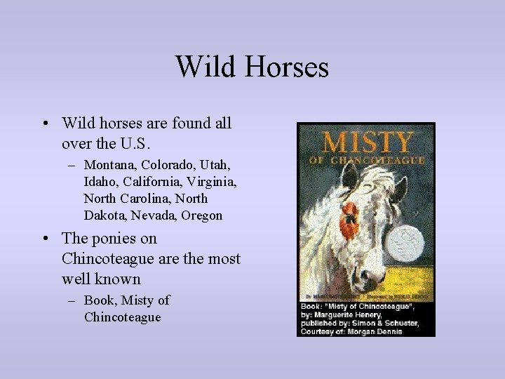 Wild Horses • Wild horses are found all over the U. S. – Montana,