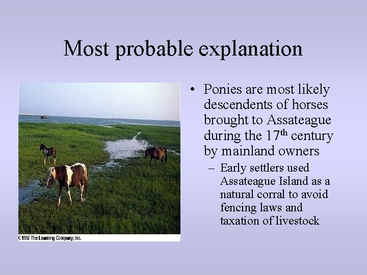 Most probable explanation • Ponies are most likely descendents of horses brought to Assateague
