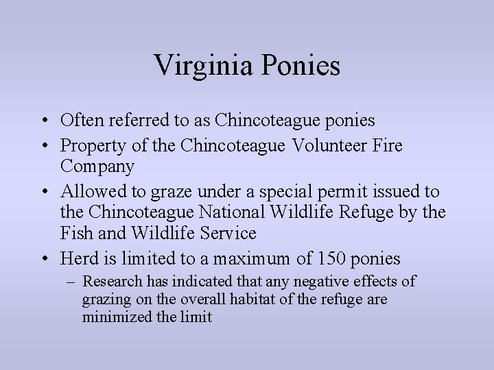 Virginia Ponies • Often referred to as Chincoteague ponies • Property of the Chincoteague