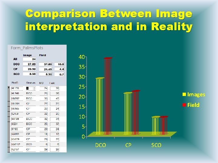 Comparison Between Image interpretation and in Reality 40 35 30 25 20 Images 15