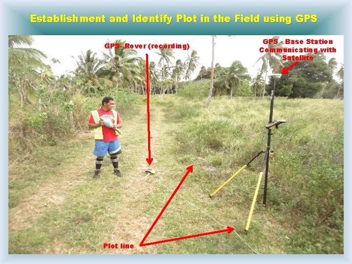 Establishment and Identify Plot in the Field using GPS- Rover (recording) Plot line GPS