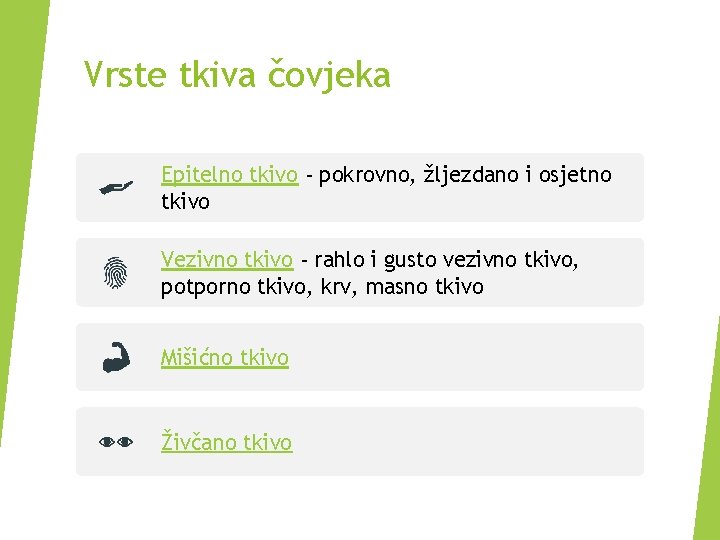 Vrste tkiva čovjeka Epitelno tkivo - pokrovno, žljezdano i osjetno tkivo Vezivno tkivo -