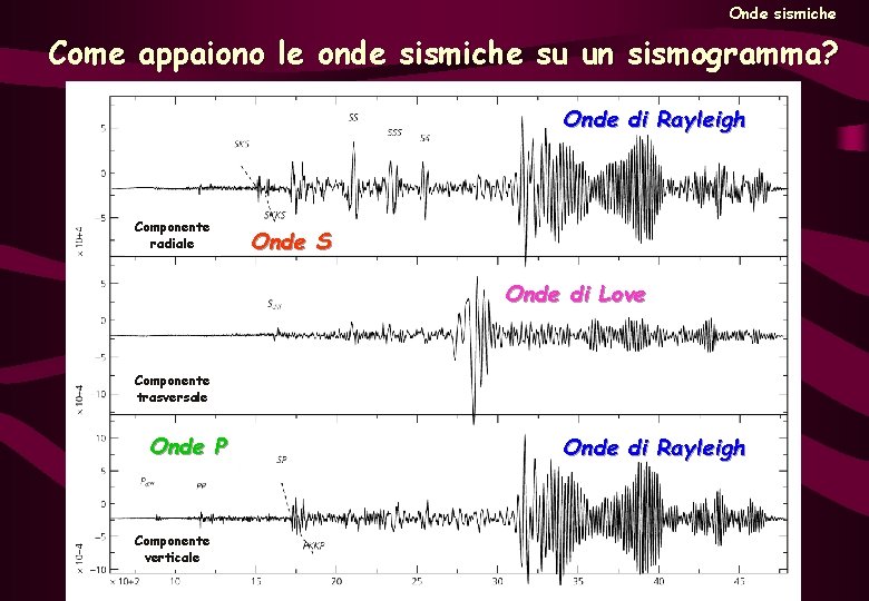 Onde sismiche Come appaiono le onde sismiche su un sismogramma? Onde di Rayleigh Componente