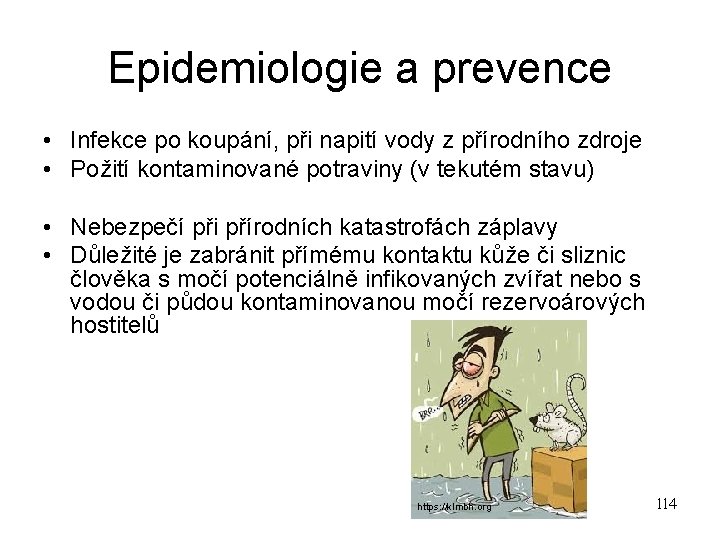 Epidemiologie a prevence • Infekce po koupání, při napití vody z přírodního zdroje •