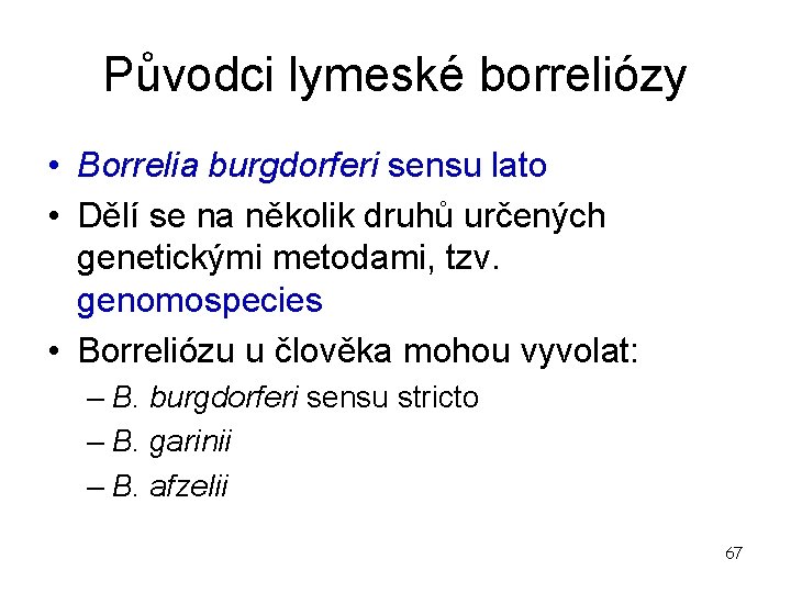 Původci lymeské borreliózy • Borrelia burgdorferi sensu lato • Dělí se na několik druhů