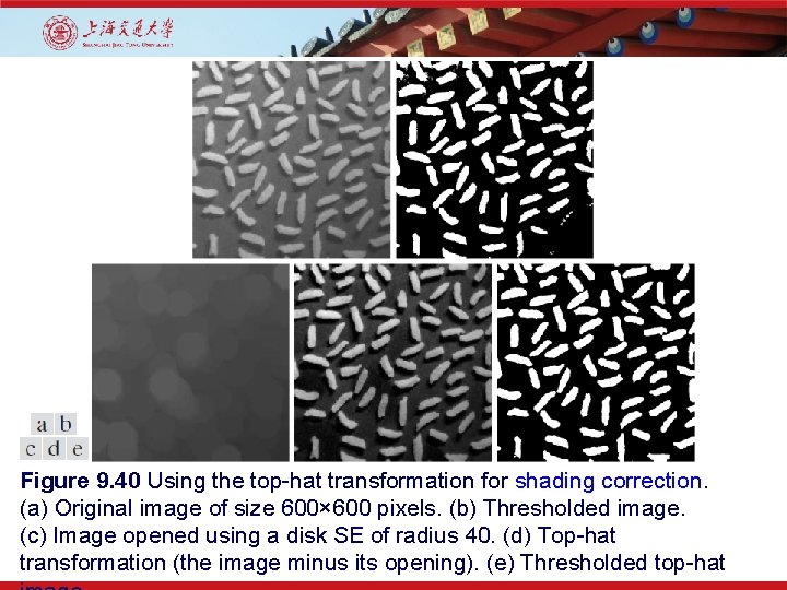 Figure 9. 40 Using the top-hat transformation for shading correction. (a) Original image of