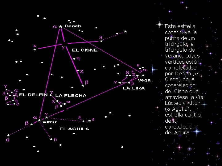 Esta estrella constituye la punta de un triángulo, el triángulo de verano, cuyos vértices