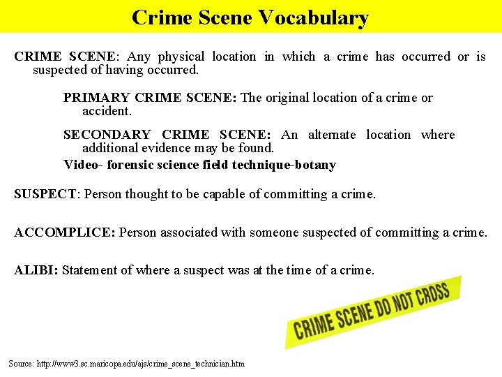 Crime Scene Vocabulary CRIME SCENE: Any physical location in which a crime has occurred