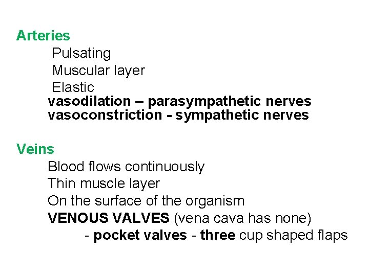 Arteries Pulsating Muscular layer Elastic vasodilation – parasympathetic nerves vasoconstriction - sympathetic nerves Veins