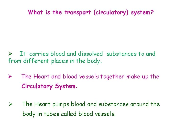 What is the transport (circulatory) system? Ø It carries blood and dissolved substances to