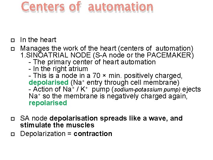 Centers of automation In the heart Manages the work of the heart (centers of