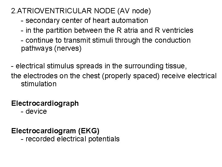 2. ATRIOVENTRICULAR NODE (AV node) - secondary center of heart automation - in the