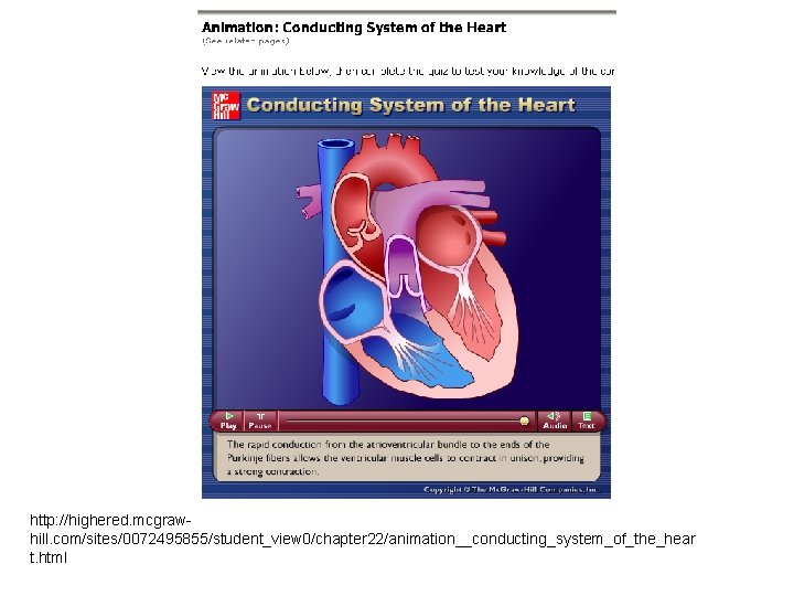 http: //highered. mcgrawhill. com/sites/0072495855/student_view 0/chapter 22/animation__conducting_system_of_the_hear t. html 