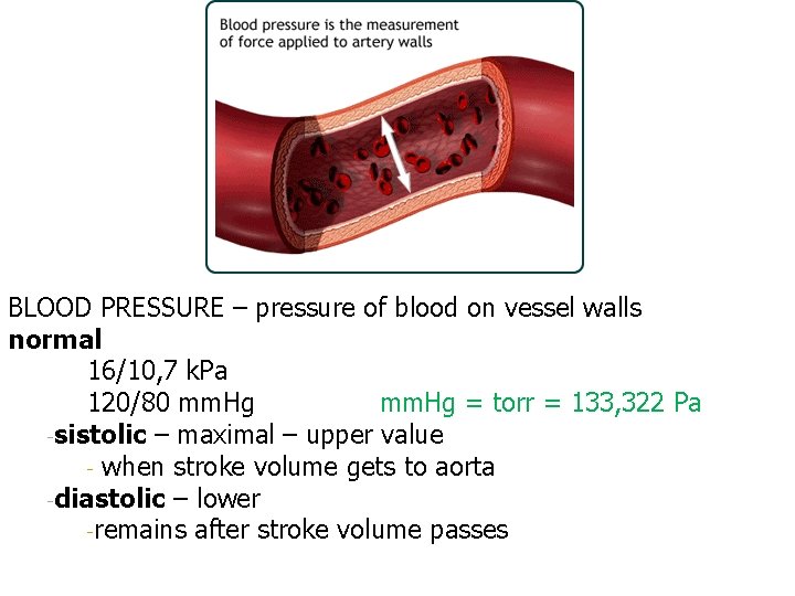 BLOOD PRESSURE – pressure of blood on vessel walls normal 16/10, 7 k. Pa