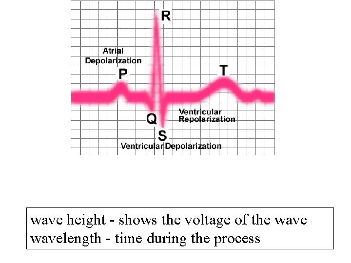 wave height - shows the voltage of the wavelength - time during the process