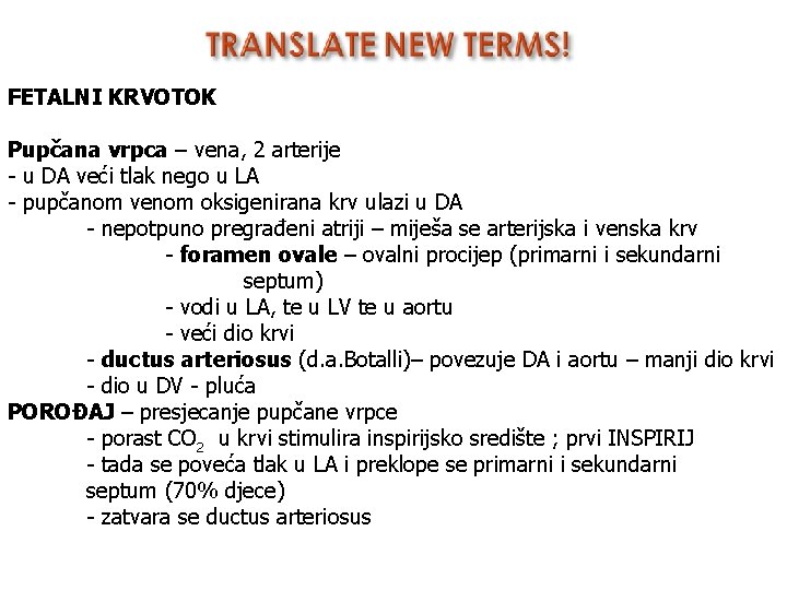 FETALNI KRVOTOK Pupčana vrpca – vena, 2 arterije - u DA veći tlak nego