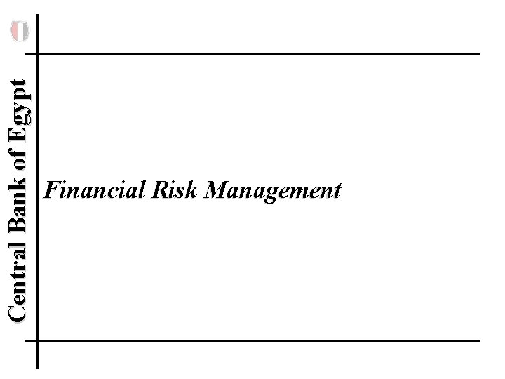 Central Bank of Egypt Financial Risk Management 