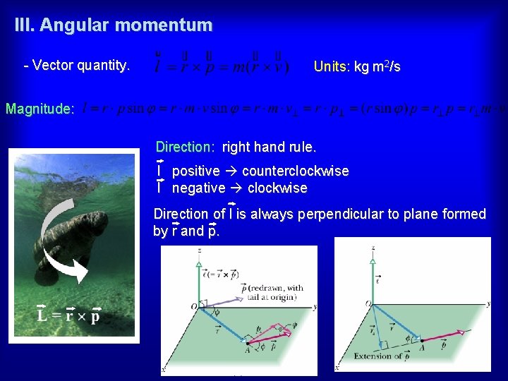 III. Angular momentum - Vector quantity. Units: kg m 2/s Magnitude: Direction: right hand