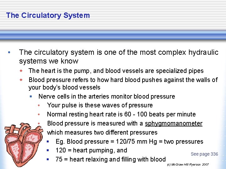 The Circulatory System • The circulatory system is one of the most complex hydraulic