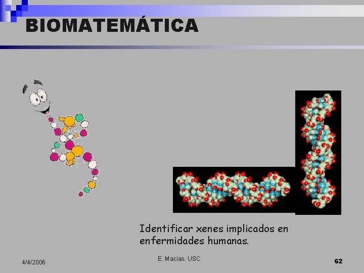 BIOMATEMÁTICA Identificar xenes implicados en enfermidades humanas. 4/4/2006 E. Macias. USC 62 