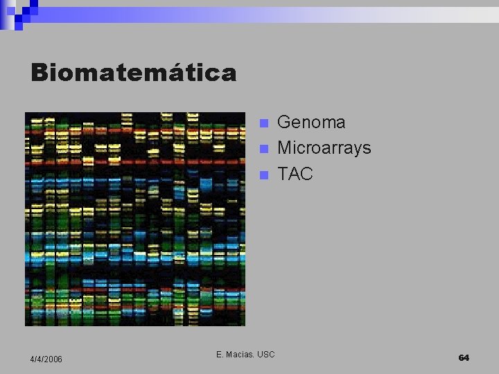 Biomatemática n n n 4/4/2006 E. Macias. USC Genoma Microarrays TAC 64 