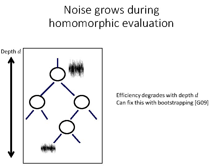 Noise grows during homomorphic evaluation 