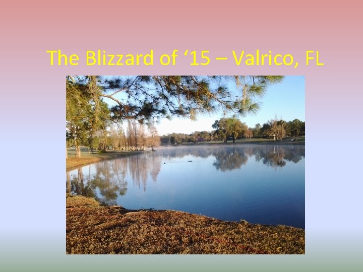 The Blizzard of ‘ 15 – Valrico, FL 