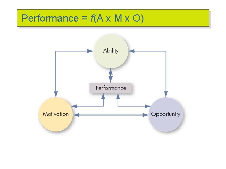 Performance = f(A x M x O) 