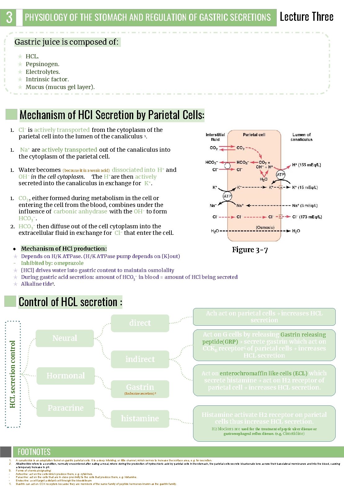 3 PHYSIOLOGY OF THE STOMACH AND REGULATION OF GASTRIC SECRETIONS Lecture Three Gastric juice