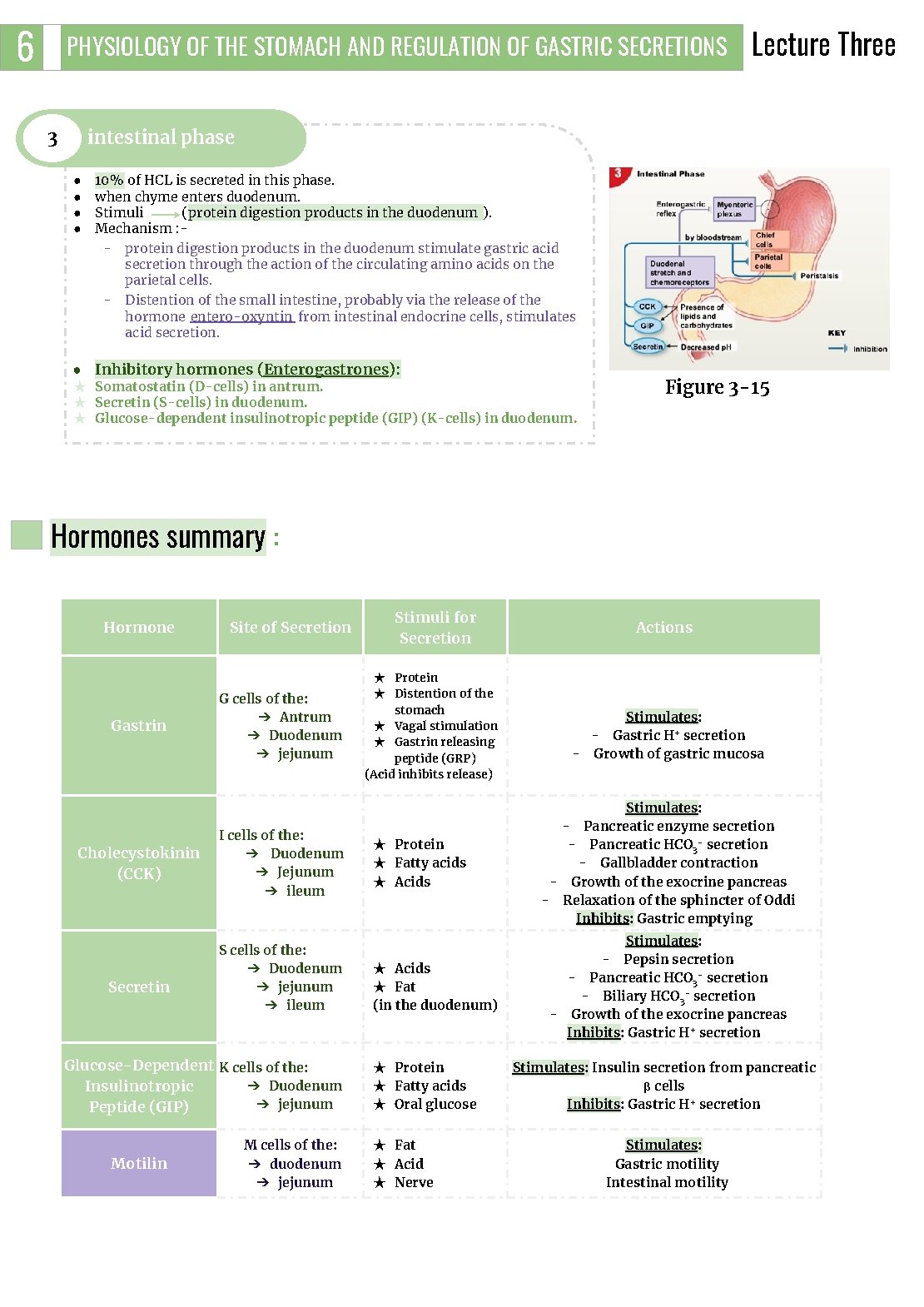 6 PHYSIOLOGY OF THE STOMACH AND REGULATION OF GASTRIC SECRETIONS 3 Lecture Three intestinal