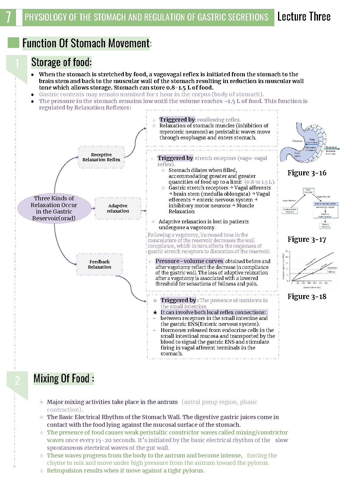 7 PHYSIOLOGY OF THE STOMACH AND REGULATION OF GASTRIC SECRETIONS Lecture Three Function Of