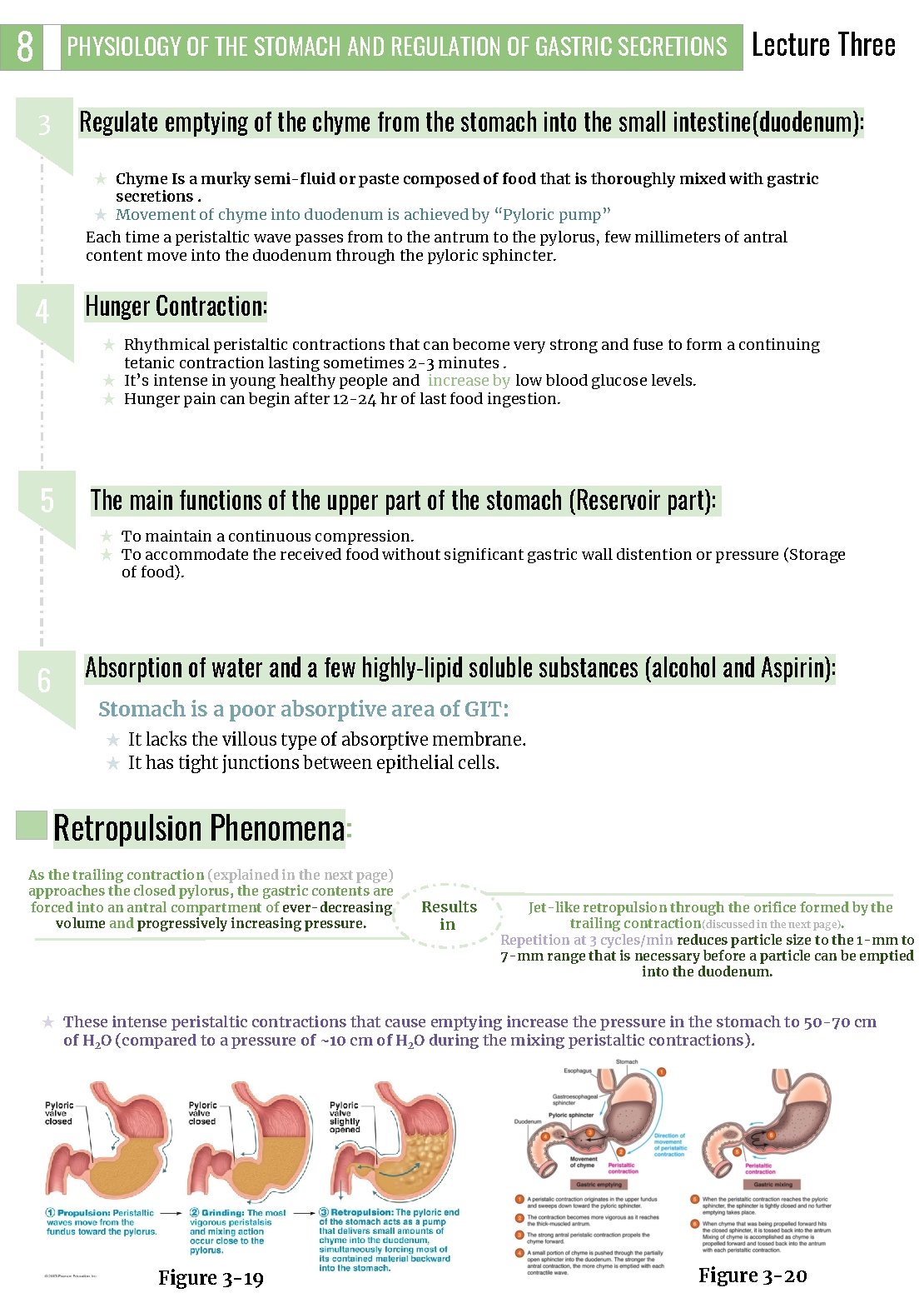 8 PHYSIOLOGY OF THE STOMACH AND REGULATION OF GASTRIC SECRETIONS Lecture Three Regulate emptying