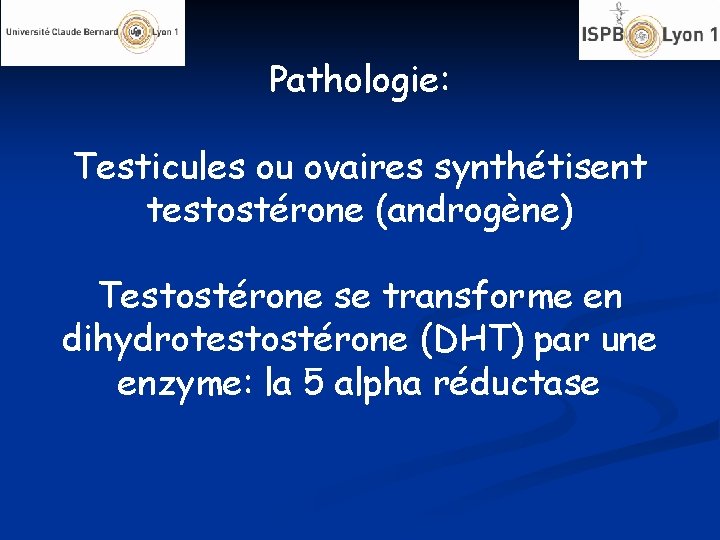 Pathologie: Testicules ou ovaires synthétisent testostérone (androgène) Testostérone se transforme en dihydrotestostérone (DHT) par