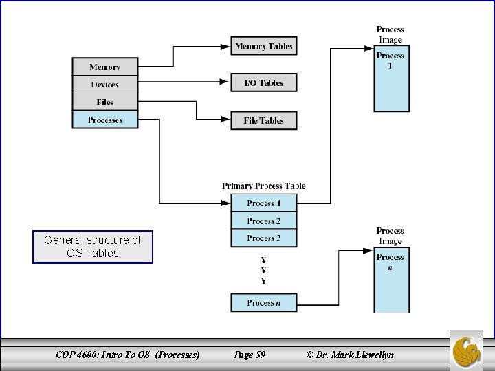 General structure of OS Tables COP 4600: Intro To OS (Processes) Page 59 ©