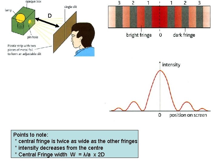 D Points to note: * central fringe is twice as wide as the other