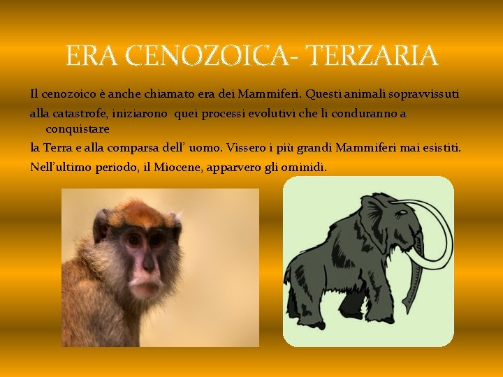 ERA CENOZOICA- TERZARIA Il cenozoico è anche chiamato era dei Mammiferi. Questi animali sopravvissuti