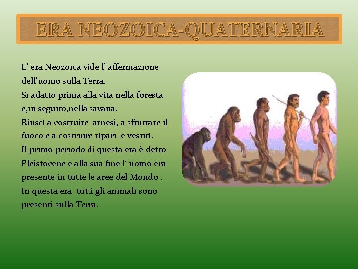 ERA NEOZOICA-QUATERNARIA L’ era Neozoica vide l’ affermazione dell'uomo sulla Terra. Si adattò prima