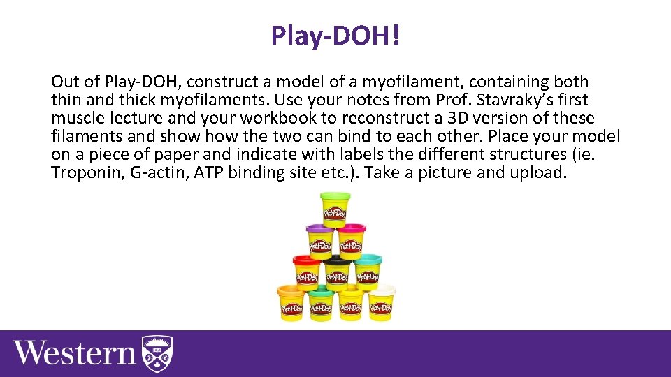 Play-DOH! Out of Play-DOH, construct a model of a myofilament, containing both thin and Play-DOH! Out of Play-DOH, construct a model of a myofilament, containing both thin and