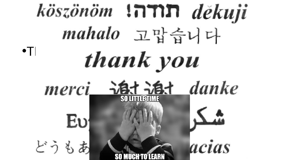 • THANK YOU • THANK YOU