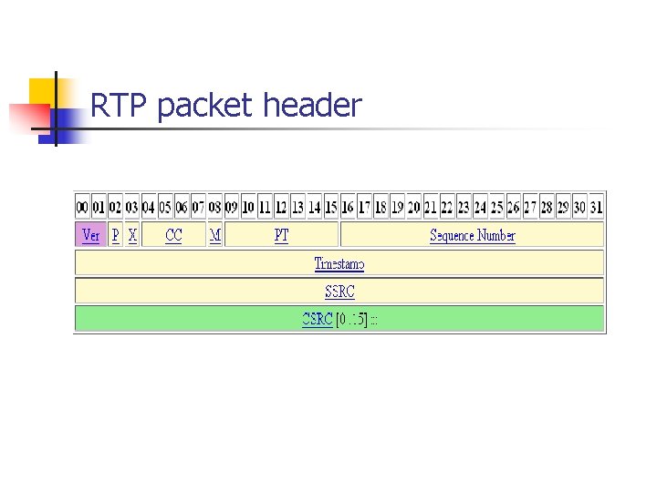 RTP packet header 