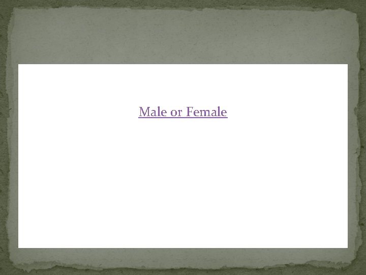Male or Female 