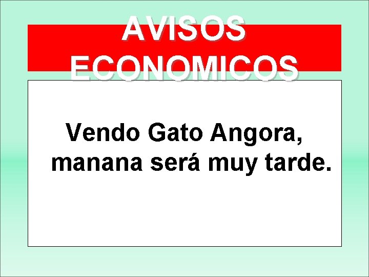 AVISOS ECONOMICOS Vendo Gato Angora, manana será muy tarde. 