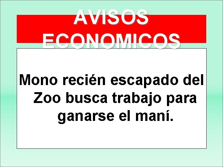 AVISOS ECONOMICOS Mono recién escapado del Zoo busca trabajo para ganarse el maní. 