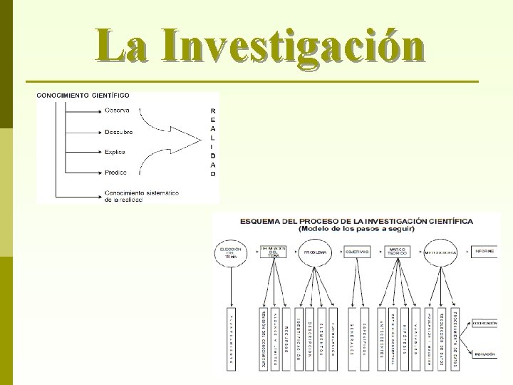 La Investigación 