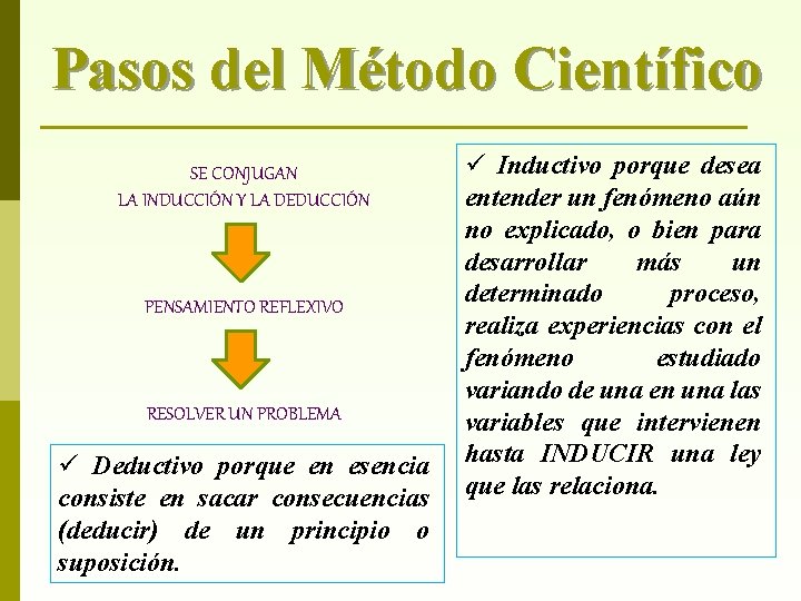 Pasos del Método Científico SE CONJUGAN LA INDUCCIÓN Y LA DEDUCCIÓN PENSAMIENTO REFLEXIVO RESOLVER