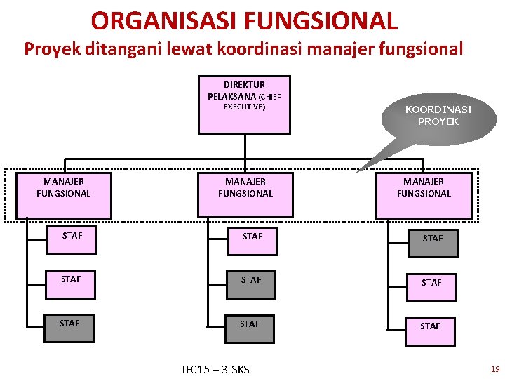 ORGANISASI FUNGSIONAL Proyek ditangani lewat koordinasi manajer fungsional DIREKTUR PELAKSANA (CHIEF EXECUTIVE) MANAJER FUNGSIONAL