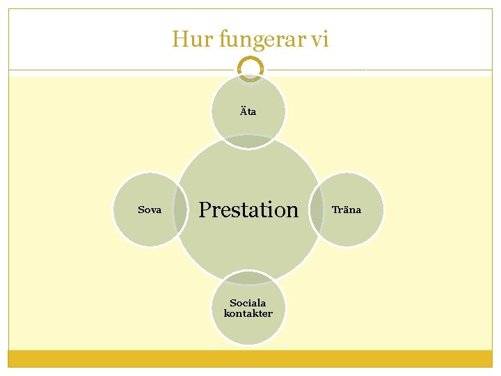 Hur fungerar vi Äta Sova Prestation Sociala kontakter Träna 