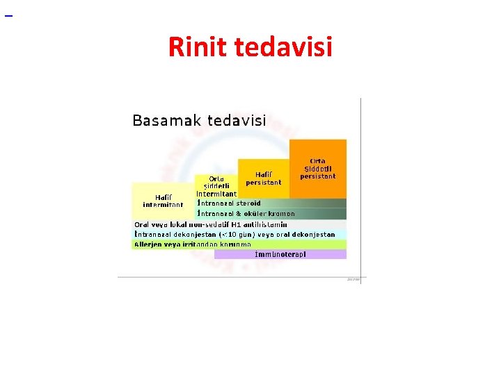  Rinit tedavisi 