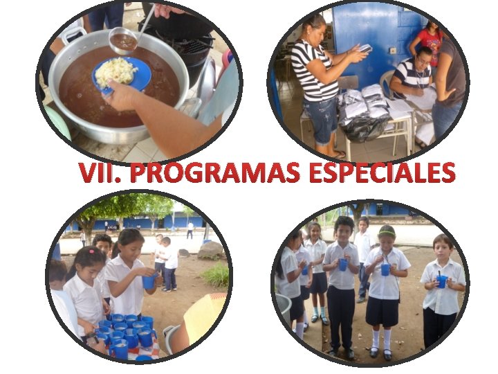 VII. PROGRAMAS ESPECIALES 